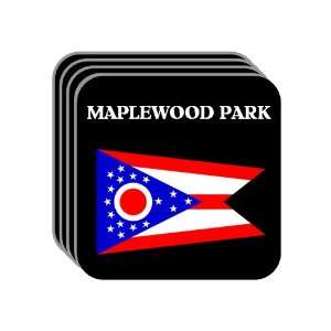  US State Flag   MAPLEWOOD PARK, Ohio (OH) Set of 4 Mini 