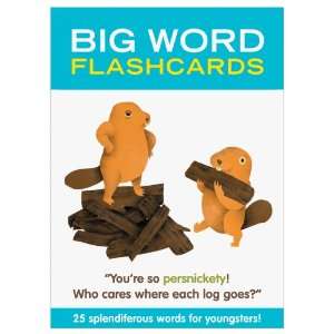  Knock Knock Big Words Flashcards (10104)