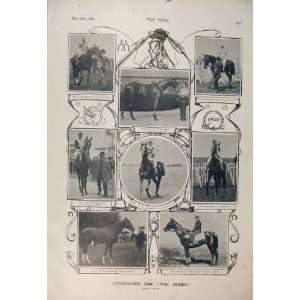  Derby Horses Race Horse Racehorse Diamond Jubilee 1900 