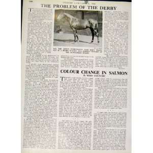  The Problem Of The 1947 Derby Horse Race