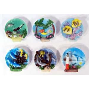  Ocean Life Assorted Shell Shape Magnet   Dolphin Tropical Fish 