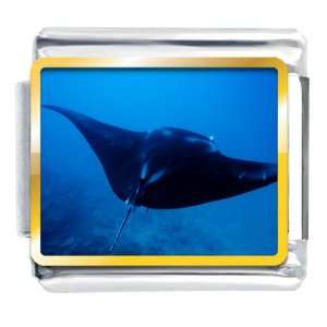 Ocean Stingray Animal Photo Italian Charms Bracelet Link