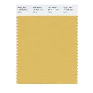    PANTONE SMART 14 1036X Color Swatch Card, Ochre: Home Improvement