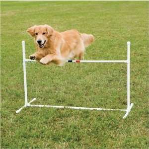  Dog Agility Bar Jump