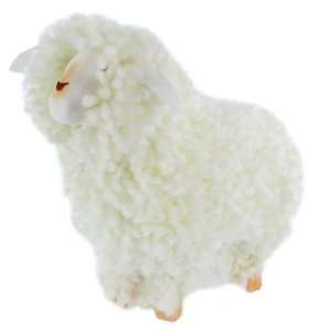  White Wool Sheep