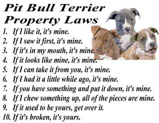 PARCHMENT PRINT = PIT BULL TERRIER DOG PUP PROPERTY LAW  