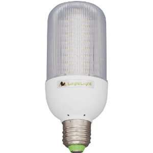   Light Bulb: 40 watt warm white incandescent replacement bulb: Home