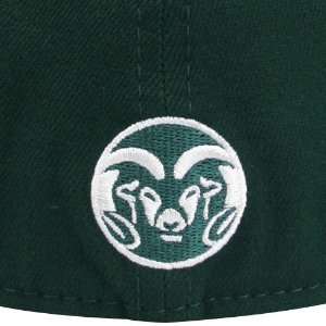  Colorado State Rams Team Color Flex Fit Logo Hat: Sports 
