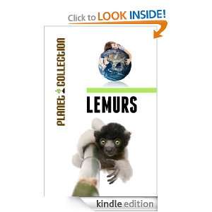 Lemurs Picture Book (Educational Childrens Books Collection)   Level 