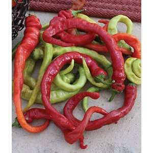  Pepper, Hot Ristra Cayenne Hybrid 1 Pkt. (30 seeds) Patio 