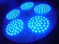 110V 120V LED Grow Light Plant Lamp Hydroponic BLUE  