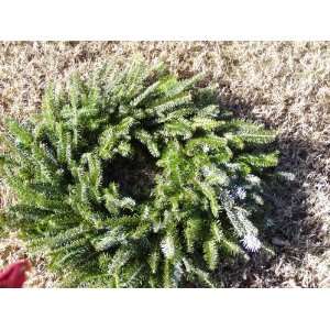   Fir Christmas Wreath (Hand crafted) with Red Bow: Home & Kitchen