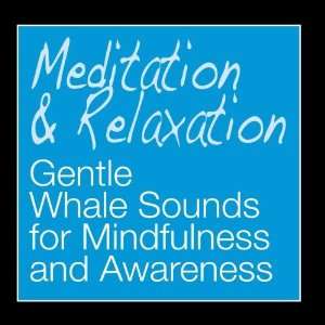  Gentle Whale Sounds for Mindfulness and Awareness 