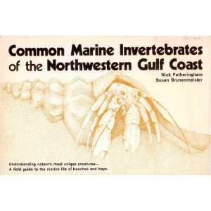  Common Marine Invertebrates of the North western Gulf 