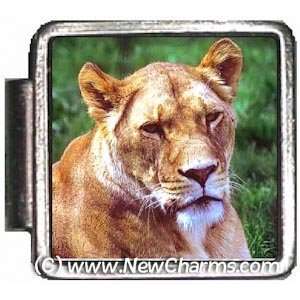  Lion Italian Charm Bracelet Jewelry Link A10024: Jewelry