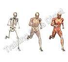 body training systems  