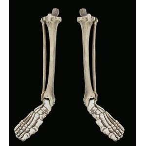 Set of 2 Budget Skeleton Legs   Left and Right  Industrial 