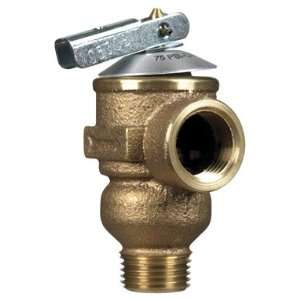   each: Cash Acme Pressure Only Relief Valve (18277): Home Improvement