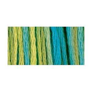  DMC Color Variations Six Strand Embroidery Floss 8.7 Yards 