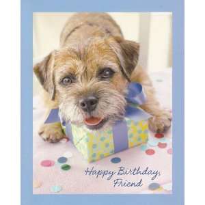    Greeting Card Birthday Happy Birthday Friend Office Products
