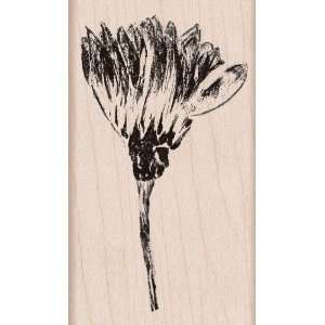  Wood Mounted Rubber Stamp: Paint A Flower: Electronics