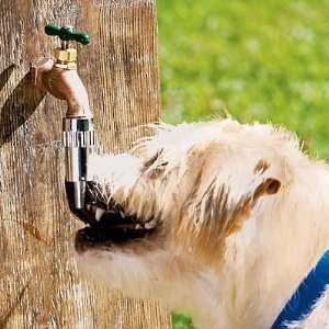 Outdoor Faucet Dog Waterer