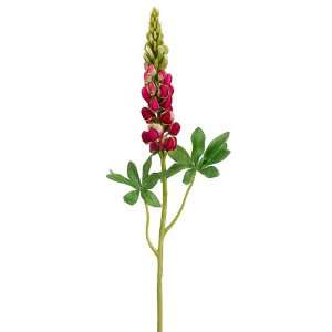 33 Silk Lupinus Flower Spray  Beauty/Green (case of 12)  