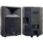Pyle Pro 500 Watt 12 2 Way Molded Speaker Cabinet