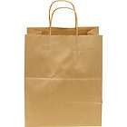 20 Kraft DURO GIFT BAGS WITH HANDLE 10 x 6.75 X 12 H