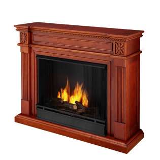    Real Flame Ventless Dark Mahogany Gel Fireplace 