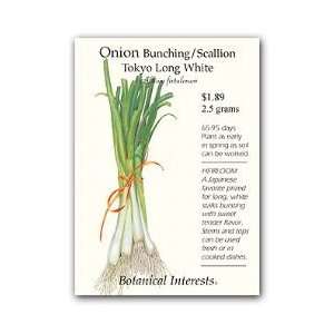  Onion Bunching / Scallion Seed Patio, Lawn & Garden
