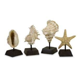  Set of 4 Decorative Seaside Conch Shell and Starfish on 