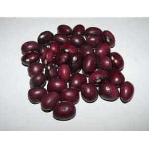  Seeds® 100 Heirloom Organic True Red Cranberry Pole Bean Seeds 
