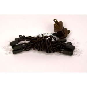 Clear String Lights Set of 10 Brown Wire
