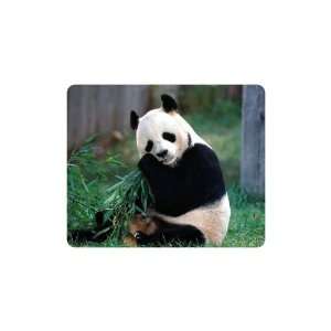  Brand New Panda Bear Mouse Pad Forest 