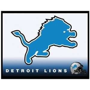  Postcard THE DETROIT LIONS (NFL) 