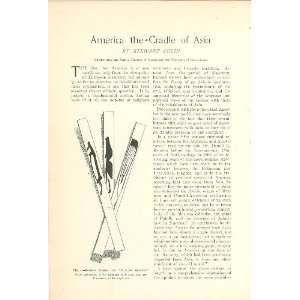  1903 Asian Games Korean Fighting Arrows Haidah Gambling 