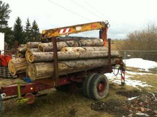 Rückeanhänger Rückwagen Atlas kran Brennholz anhänger ladekran in 