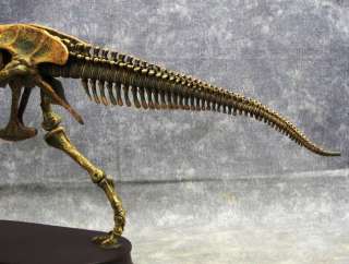 Rex Tyrannosaurus Rex Dinosaur Skeleton 1:20 Scale Museum Quality 