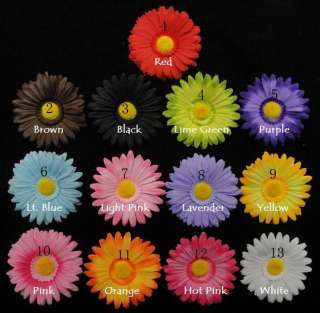 12) Sunshine Spider Daisy Flower Heads 4❀Super Fun!!  