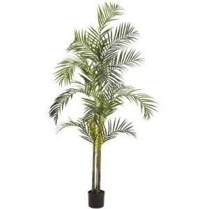  3 Areca Palm Silk Tree Patio, Lawn & Garden