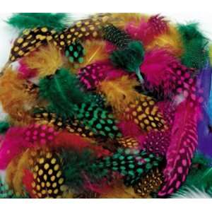  17 Pack CHENILLE KRAFT COMPANY SPOTTED FEATHERS 