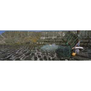  Lobster Traps and Fishing Nets in Front of a Stone Wall 