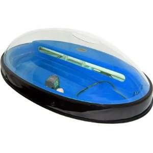 Oval Shape Bubble Hanging Aquarium Complete Self Contained Wall Fish 