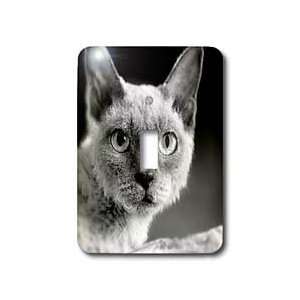 VWPics Dogs n Cats   Selkirk rex   Light Switch Covers   single toggle 