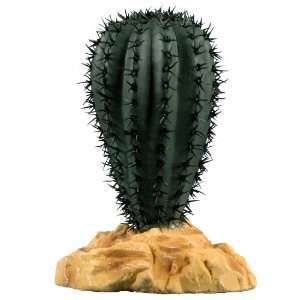  Zilla Desert Plant   Saguaro Cactus 5
