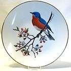 AVON BLUEBIRD North American Songbird Collector Plate +box