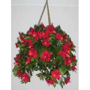 Red Hibiscus Hanging Basket