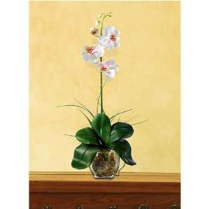  Alan 1051 LP Mini Phalaenopsis Liquid Illusion Silk Orchid Arrangement