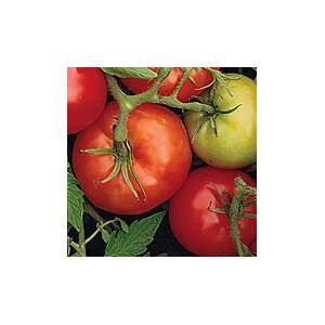  Tomatoes Double Rich (50 Organic Seeds) Patio, Lawn 